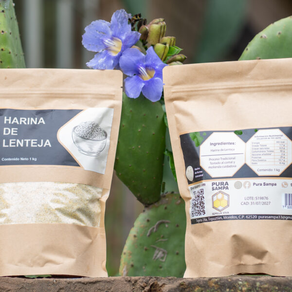 Harina de lentejas (1kg)